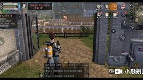 游戏解说国产卡车视频,游戏解说视频深度解析