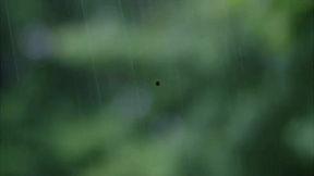 青草国产精品视频分类1,探寻国内影视新风尚