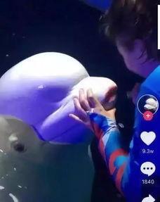 国产口红抖音广告视频大全