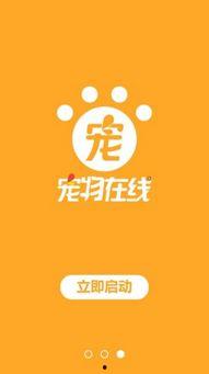 国产视频精品宠物,萌宠世界里的温馨瞬间